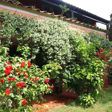 Il Giardino Antico B&B Carrara