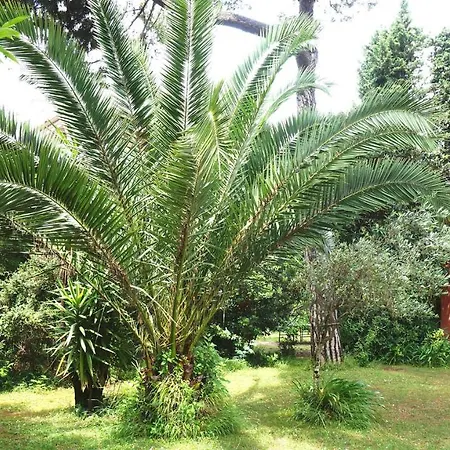 Il Giardino Antico B&B Nocleg ze śniadaniem *